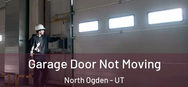  Garage Door Not Moving North Ogden - UT