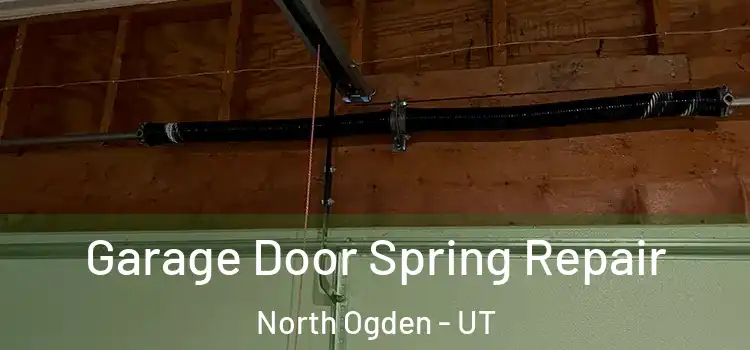  Garage Door Spring Repair North Ogden - UT